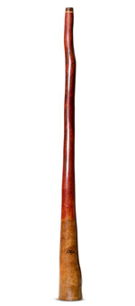 Tristan O'Meara Didgeridoo (TM455)
